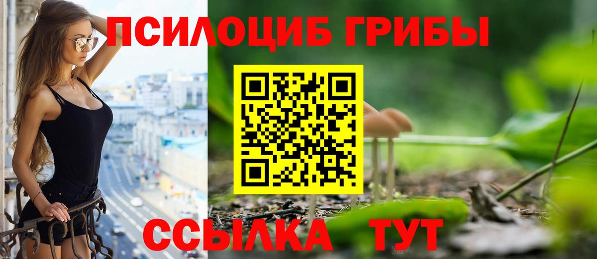 Псилоцибиновые грибы Cubensis  Вход с VPN  Егорьевск 